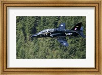 A Hawk T1 trainer aircraft of the Royal Air Force flying over a forest in North Wales Fine Art Print