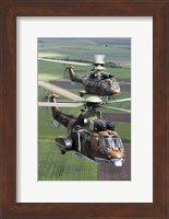 Pair of Bulgarian Air Force Eurocopter AS532 AL Cougar helicopters Fine Art Print