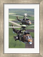 Pair of Bulgarian Air Force Eurocopter AS532 AL Cougar helicopters Fine Art Print