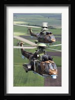 Pair of Bulgarian Air Force Eurocopter AS532 AL Cougar helicopters Fine Art Print