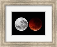 A composite showing the moon before the eclipse and during totality phase Fine Art Print