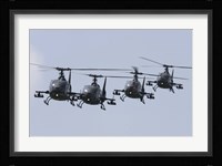 Serbian Air Force Soko SA-342L GAMA choppers in flight over Serbia Fine Art Print