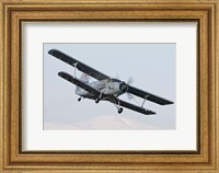 Bulgarian Air Force Antonov An-2 in flight over Bulgaria Fine Art Print