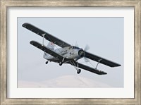 Bulgarian Air Force Antonov An-2 in flight over Bulgaria Fine Art Print