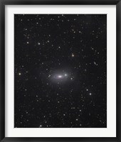 The Sunflower Galaxy Fine Art Print