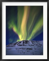 Aurora Borealis over Toviktinden Mountain in Troms County, Norway Fine Art Print