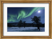 Aurora Borealis, Forramarka, Troms, Norway Fine Art Print