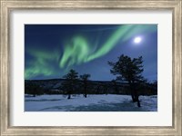 Aurora Borealis, Forramarka, Troms, Norway Fine Art Print
