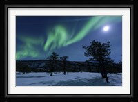 Aurora Borealis, Forramarka, Troms, Norway Fine Art Print