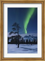 Moonlight and aurora over Nova Mountain Wilderness, Norway Fine Art Print