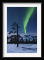 Moonlight and aurora over Nova Mountain Wilderness, Norway Fine Art Print