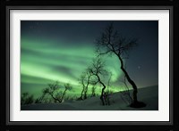 Northern Lights in the arctic wilderness, Nordland, Norway Fine Art Print