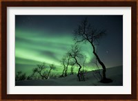 Northern Lights in the arctic wilderness, Nordland, Norway Fine Art Print
