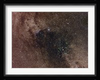 Widefield view of star flux in Cygnus Fine Art Print