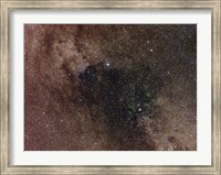 Widefield view of star flux in Cygnus Fine Art Print
