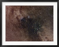 Widefield view of star flux in Cygnus Fine Art Print