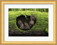 A pair of juvenile troodons in the hollow of a tree Fine Art Print