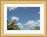 An Archaeopteryx observing a flock of migrating pterosaurs Fine Art Print