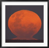 The Thunder's Moon rising over Rio de La Plata, Argentina Fine Art Print