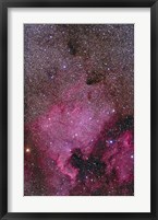 NGC 7000 and the Pelican Nebula Fine Art Print