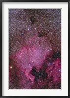 NGC 7000 and the Pelican Nebula Fine Art Print