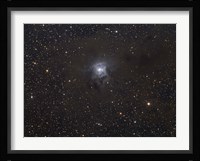 The Iris Nebula Fine Art Print