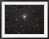 The Iris Nebula Fine Art Print