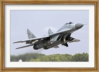 Serbian Air Force MiG-29 departing with two AA-8 Aphid missiles Fine Art Print