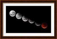 A composite showing different stages of the 2010 solstice total moon eclipse Fine Art Print