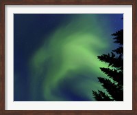 Aurora Borealis in Troms County, Norway Fine Art Print