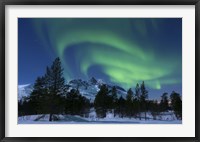 Aurora Borealis over Nova Mountain Wilderness, Troms, Norway Fine Art Print