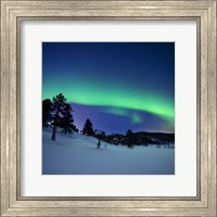 Aurora Borealis and a shooting star in the woods of Troms County, Norway Fine Art Print