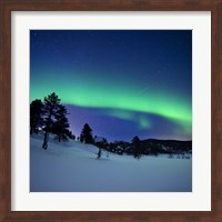 Aurora Borealis and a shooting star in the woods of Troms County, Norway Fine Art Print