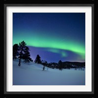 Aurora Borealis and a shooting star in the woods of Troms County, Norway Fine Art Print