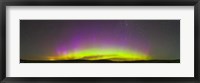 Panoramic view of northern lights on the horizon, Saskatchewan, Canada Fine Art Print