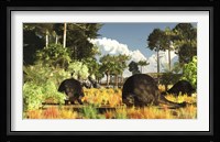 Prehistoric glyptodonts graze on grassy plains Fine Art Print