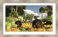 Prehistoric glyptodonts graze on grassy plains Fine Art Print