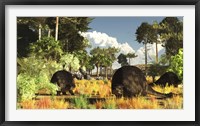 Prehistoric glyptodonts graze on grassy plains Fine Art Print