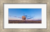 The Very Large Array radio telescope in New Mexico at sunset Fine Art Print