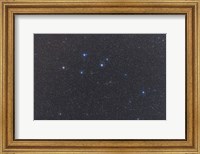 Delphinus constellation on a hazy night Fine Art Print