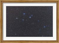 Delphinus constellation on a hazy night Fine Art Print