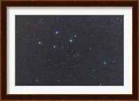 Delphinus constellation on a hazy night Fine Art Print