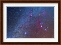 Orion and the Winter Triangle stars Fine Art Print