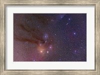 Antares and Scorpius Head area with Rho Ophiuchi nebulosity Fine Art Print