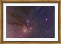 Antares and Scorpius Head area with Rho Ophiuchi nebulosity Fine Art Print