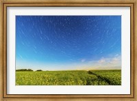 Circumpolar star trails over a canola field in southern Alberta, Canada Fine Art Print