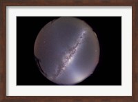 Southern Milky Way with zodiacal light prominent in the east Fine Art Print