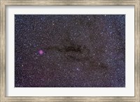 The Cocoon Nebula in the constellation Cygnus Fine Art Print