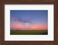 Crepuscular rays at sunset, Alberta, Canada Fine Art Print