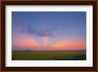Crepuscular rays at sunset, Alberta, Canada Fine Art Print